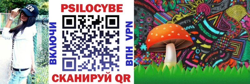Псилоцибиновые грибы мицелий hydra ТОР Советский