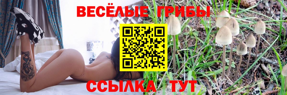 Галлюциногенные грибы Cubensis  Вход с VPN  Советский 